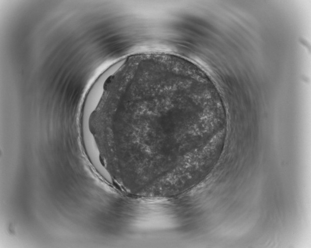 X0000094970864200712271741