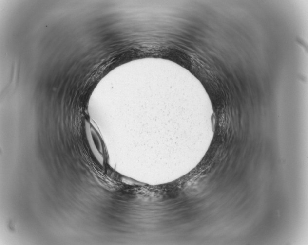 X0000094970868200712271740