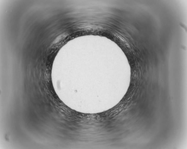 X0000094970869200712271740