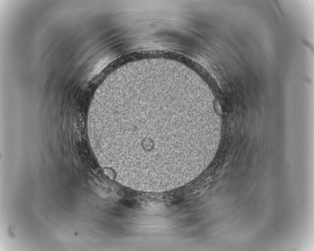 X0000094970871200712271740