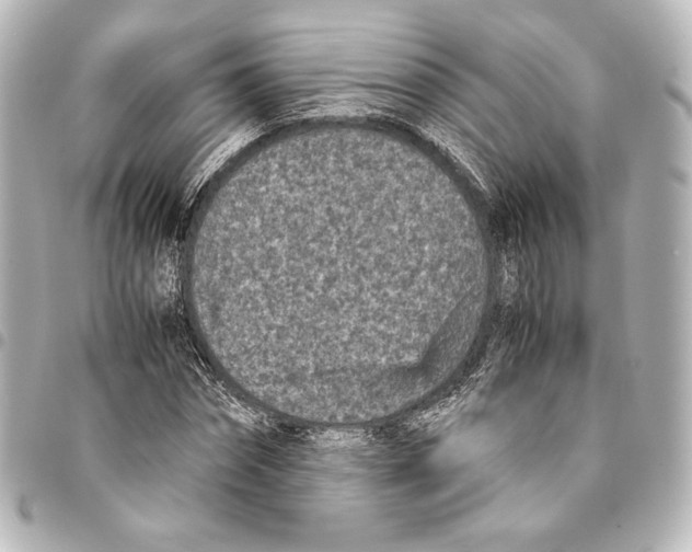 X0000094970874200712271740