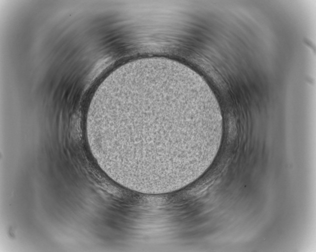 X0000094970878200712271740