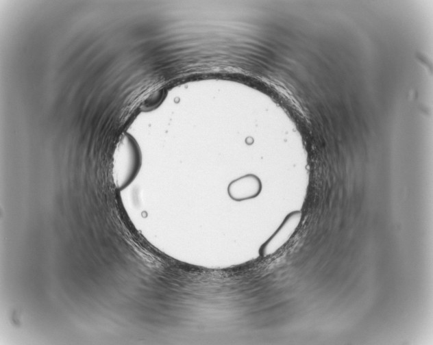 X0000094970881200712271740