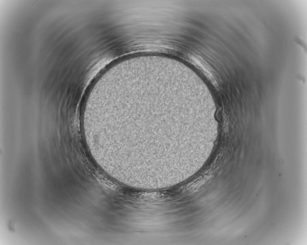 X0000094970883200712271740