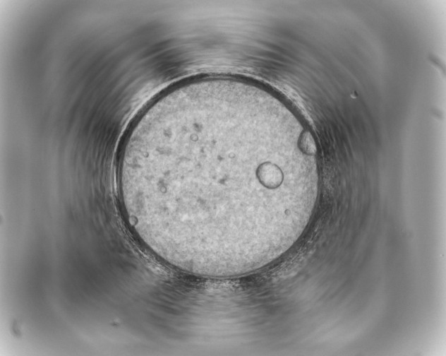 X0000094970887200712271740