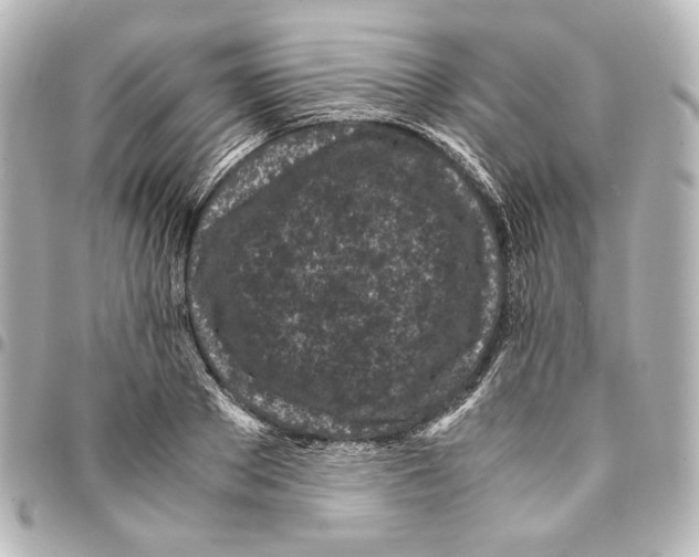 X0000094970889200712271740