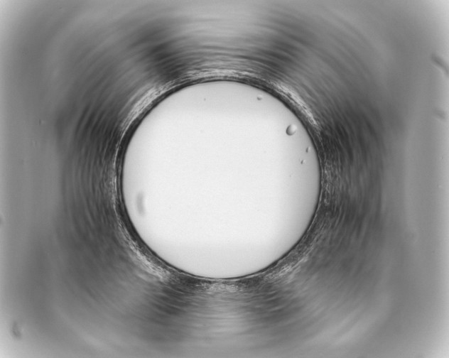 X0000094970890200712271740