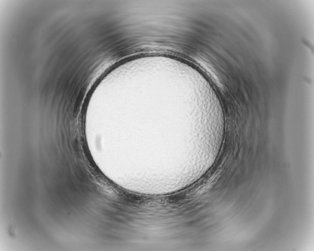 X0000094970891200712271740