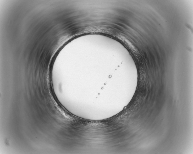 X0000094970894200712271740