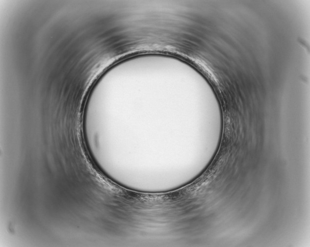 X0000094970895200712271740