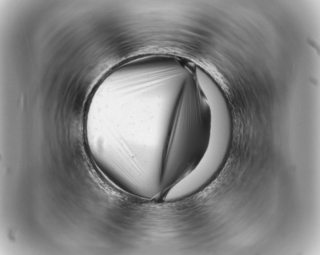 X0000094970896200712271740