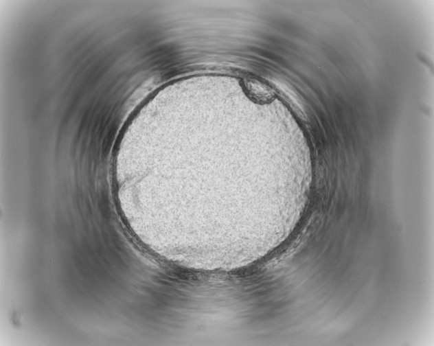 X0000094970899200712271740