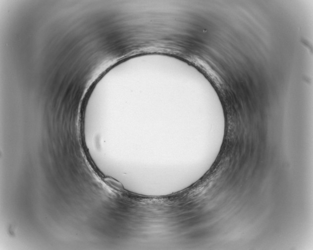 X0000094970902200712271740