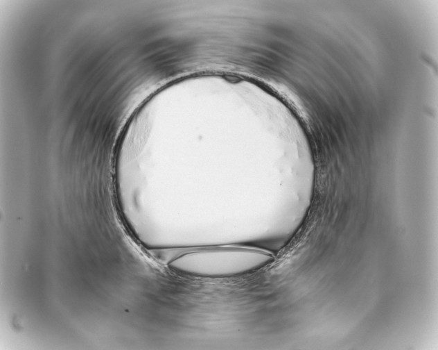 X0000094970903200712271740