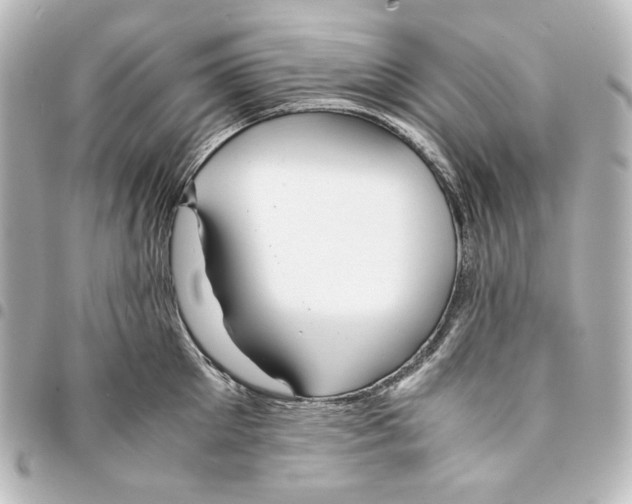 X0000094970905200712271740