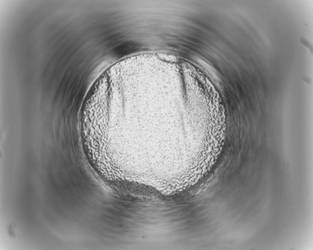 X0000094970907200712271740