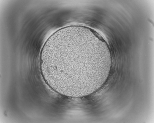 X0000094970911200712271740