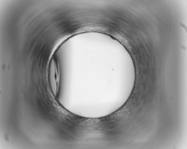 X0000094970912200712271740