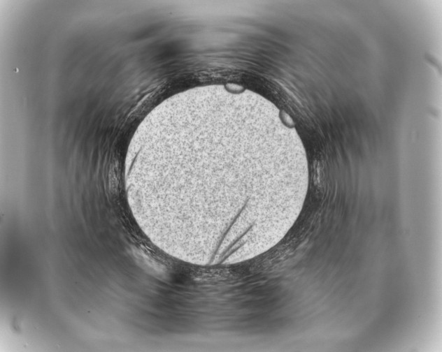 X0000094970915200712271739