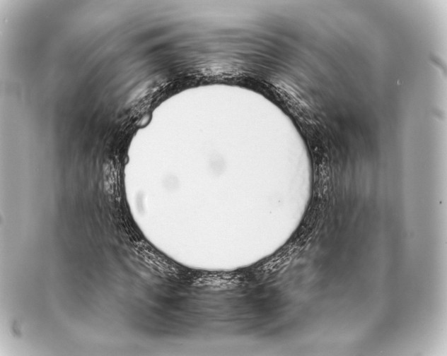 X0000094970917200712271739