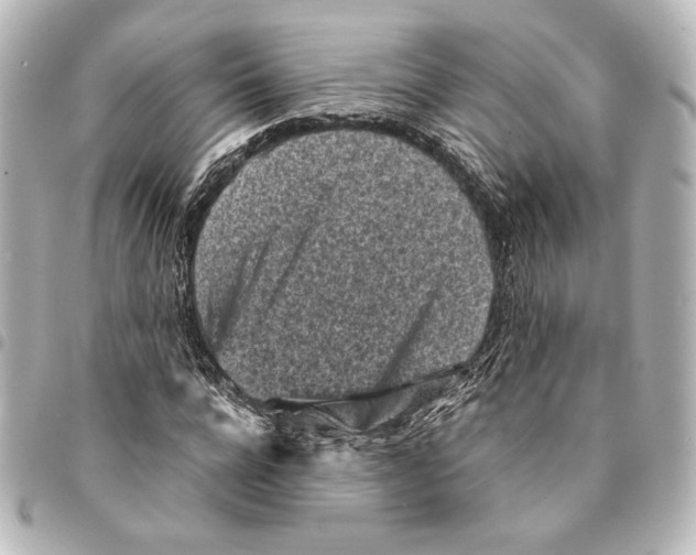 X0000094970920200712271739