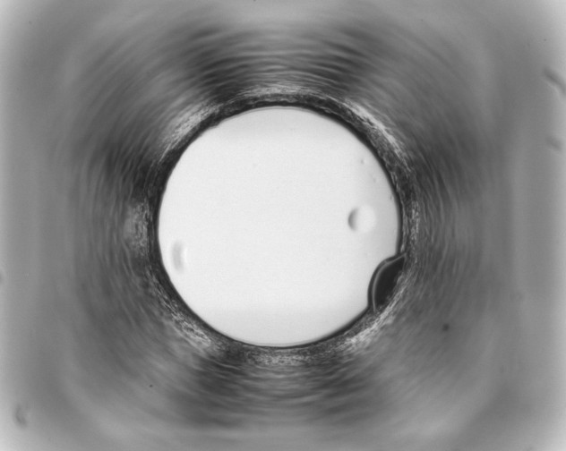 X0000094970921200712271739