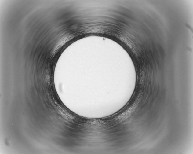 X0000094970922200712271739