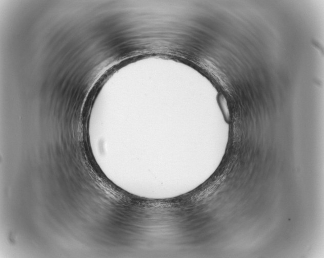 X0000094970924200712271739