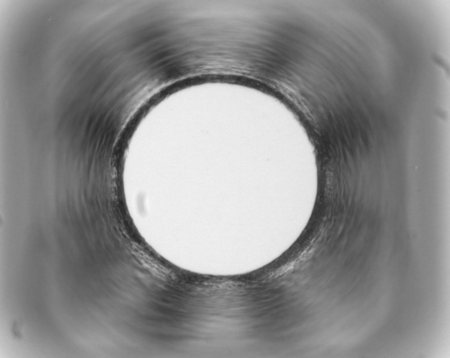 X0000094970926200712271739