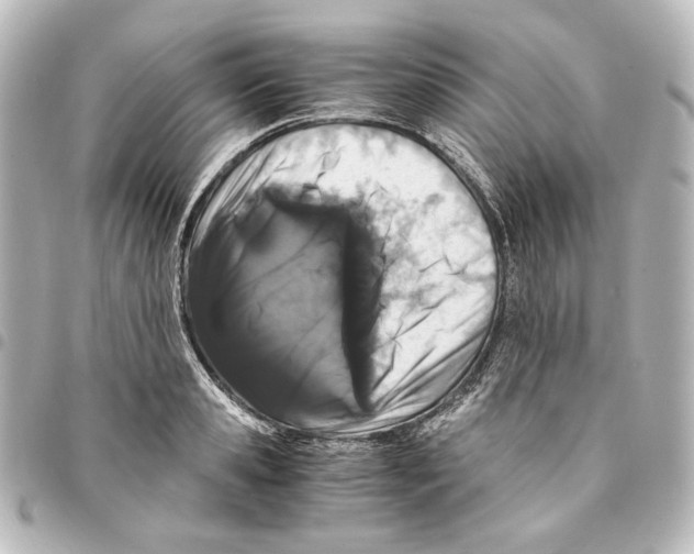 X0000094970941200712271739