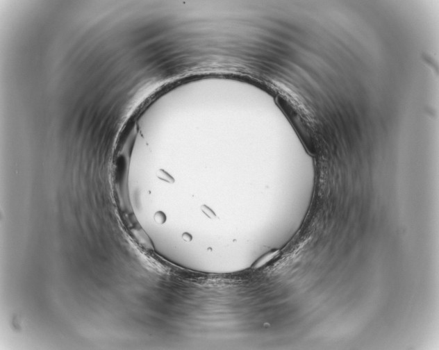 X0000094970942200712271739