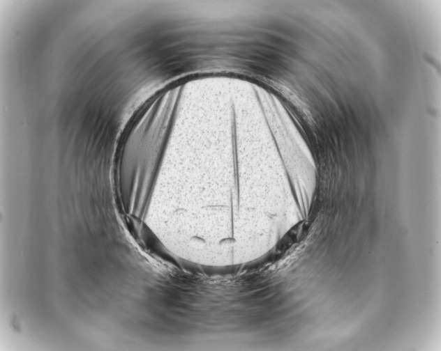 X0000094970943200712271739