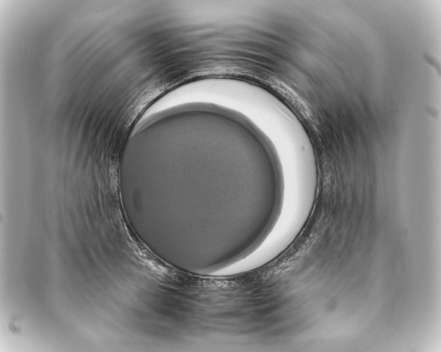 X0000094970945200712271739