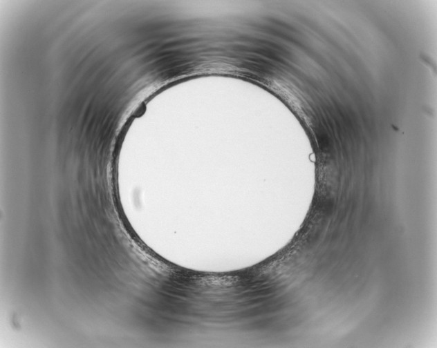 X0000094970947200712271739