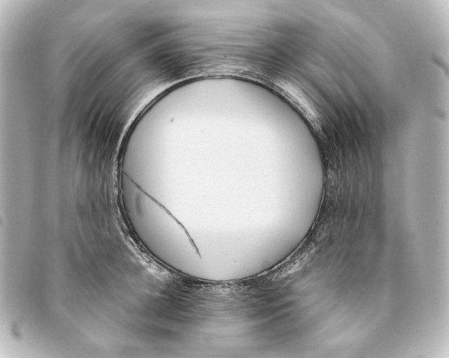 X0000094970948200712271739