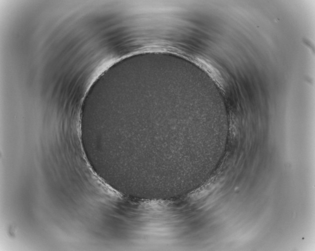 X0000094970950200712271740