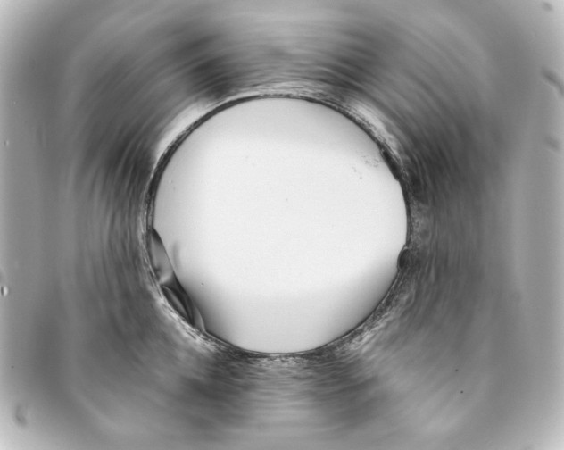 X0000094970952200712271740