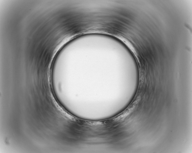 X0000094970957200712271740