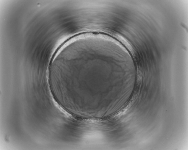 X0000094970958200712271740