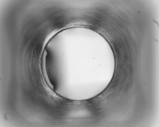 X0000094970960200712271740