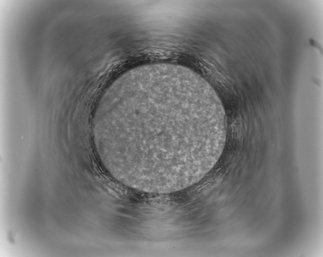 X0000094970961200712271739