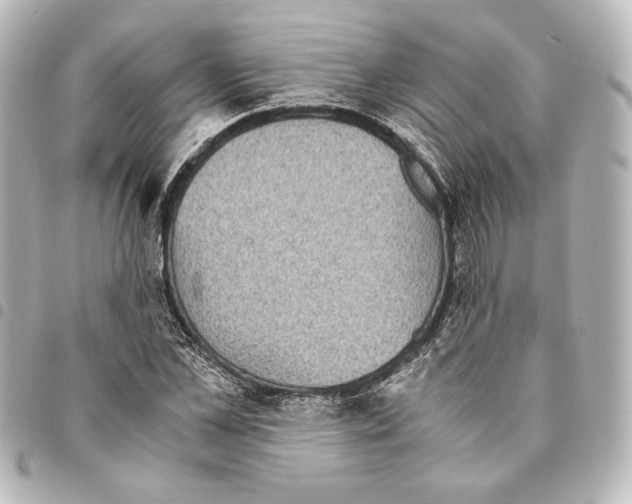 X0000094970973200712271739