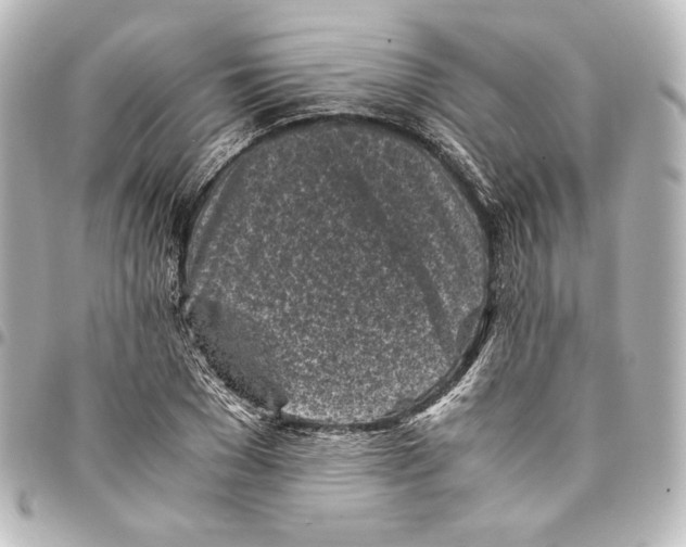 X0000094970977200712271739