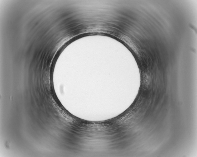 X0000094970980200712271739