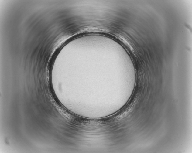 X0000094970981200712271739