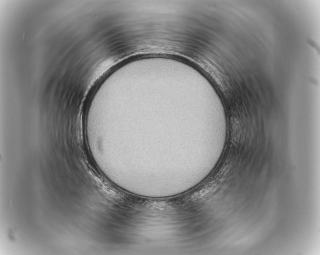 X0000094970982200712271739