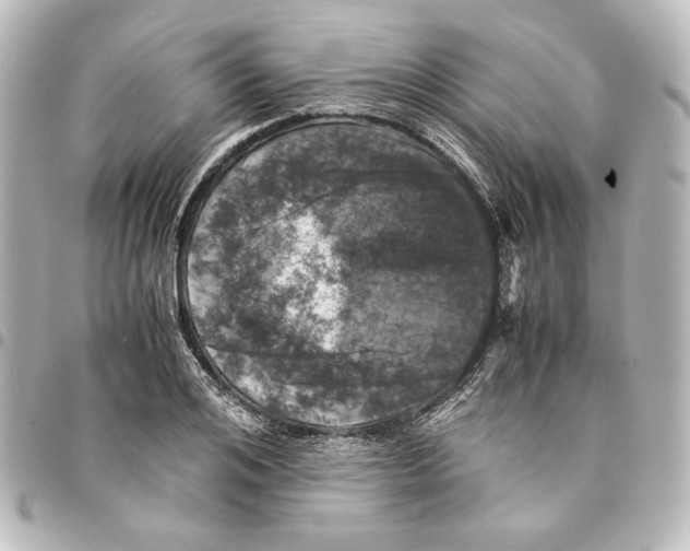 X0000094970984200712271739