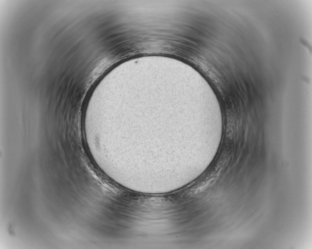 X0000094970986200712271738