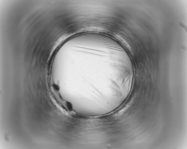 X0000094970989200712271738