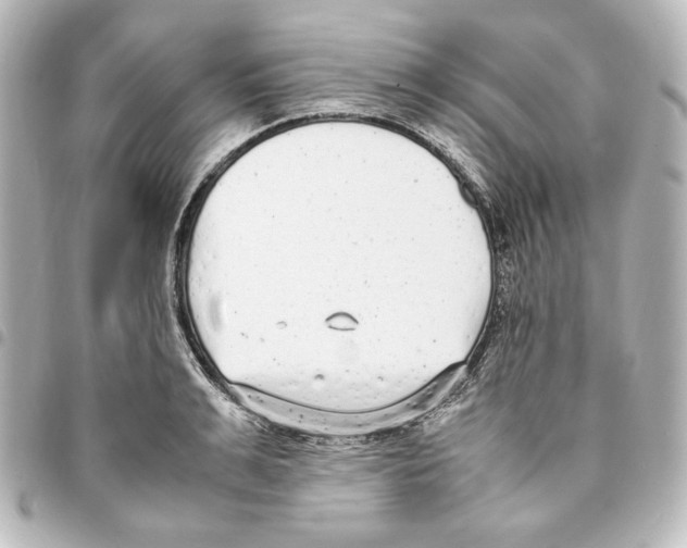 X0000094970991200712271738